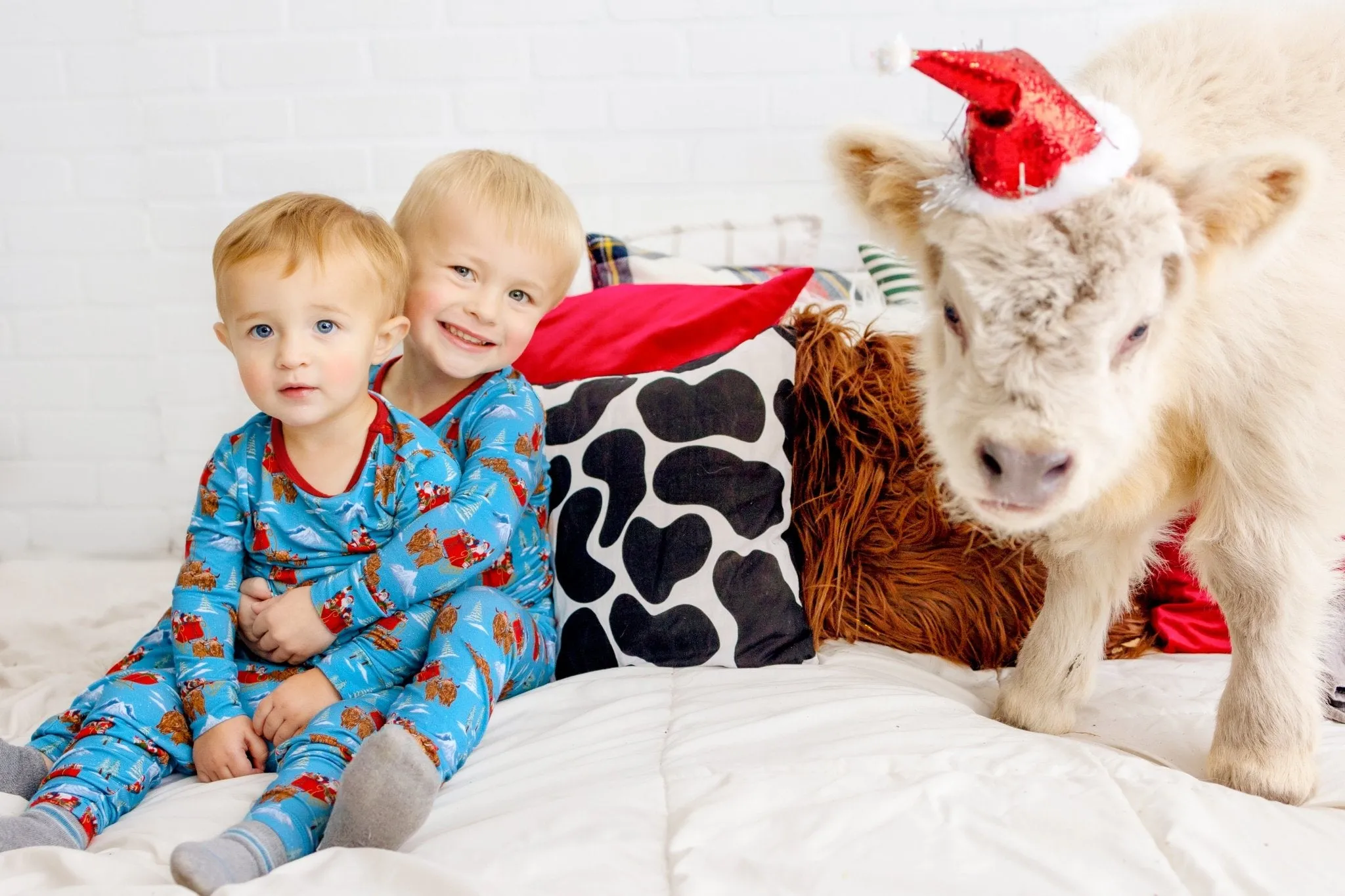 Santa & Highland Cattle Sleighs Long Sleeve Pajama Set (12M-12Y)